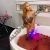 Pendik Kartal Escort Bayan Olya ve Lila - Image 4